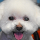 Lucky Dog Grooming Salon - Pet Grooming