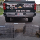 Wildlife Control