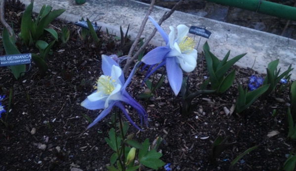 Bridge Of Flowers Business Center - Shelburne Falls, MA