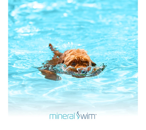 Neptunes Pool Care - Kallangur, QLD