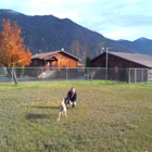 Glacier Bark Kennels