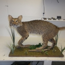 Black Creek Taxidermy - Taxidermists