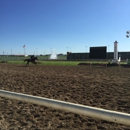 Indiana Downs - Race Tracks