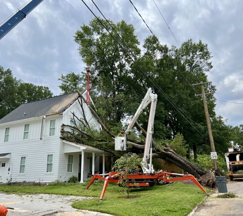 Longhorn Tree Service