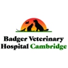 Badger Veterinary Hospital Cambridge gallery