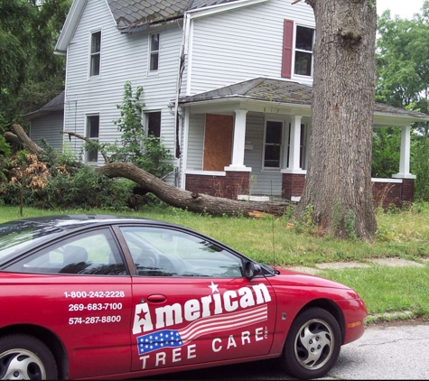 American Tree Care - Niles, MI