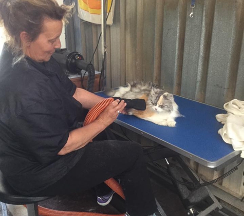 G.V. Pet Grooming - Shepparton, VIC