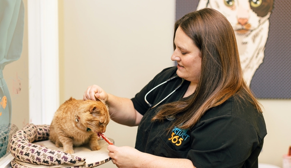 PetVet365 Pet Hospital Louisville / Jeffersontown - Louisville, KY