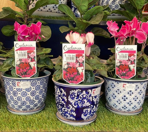 Highfields Garden Centre - Highfields, QLD