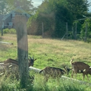 Yellow Birch Farm - Food Products