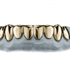 Luxe Grillz