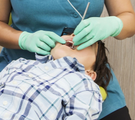 Bicton Paediatric Dentistry - Palmyra, WA