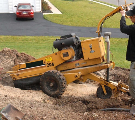 Novak Stump Removal - Minneapolis, MN