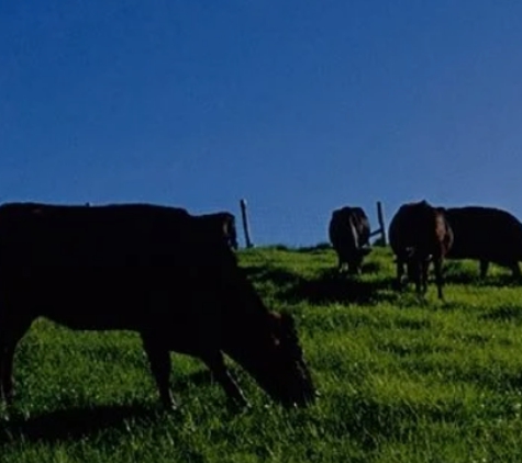 Davies Thompson & Wright - Muswellbrook, NSW