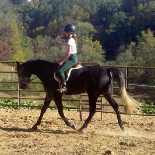 Jumping H Farm - Elkin, NC