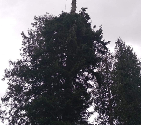 Ricardo's Landscape & Tree Service - Sedro Woolley, WA