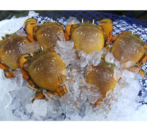 Urangan Fisheries - Urangan, QLD
