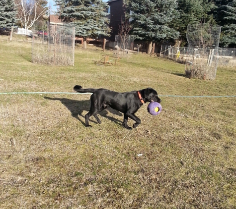 Marcinda Kennels - Spokane, WA