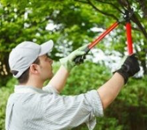 D C Culley Tree Service - Pittsburgh, PA