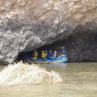 Oregon River Experiences