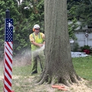 Cut Rite Tree Service - Tree Service