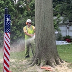 Cut Rite Tree Service