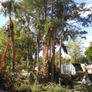 D M Young Tree & Landscape - Arborists