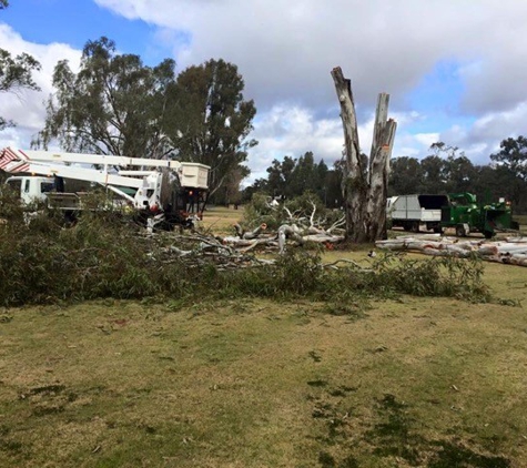 Mildura Tree Services - Mildura, VIC. Highly Qualified And Experienced