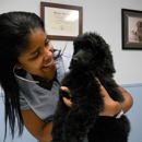 Pine Island Animal Clinic - Veterinary Clinics & Hospitals
