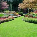Ray's Lawn Tree & Landscaping Services - Landscape Contractors