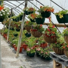 Green Leaf Nursery - CLOSED
