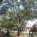 AJ's Tree Care - Landscaping & Lawn Services
