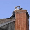 Chimney Sweep OKC gallery