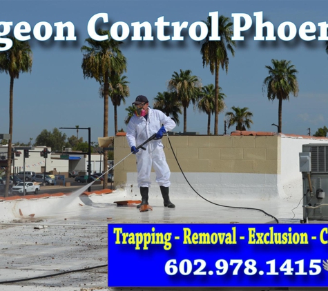 Bills Pest Termite Control - Phoenix, AZ