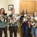 Advanced Animal Care - Veterinarians