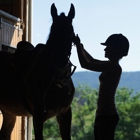 Biamonte Stables