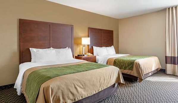 Comfort Inn - Charlotte, MI