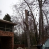 A Accurate & Economical Tree Experts gallery