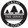 Gashi & Sons gallery