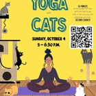 Bertha's Beans Cat Cafe