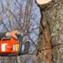 Lee's Tree Service - Stump Removal & Grinding