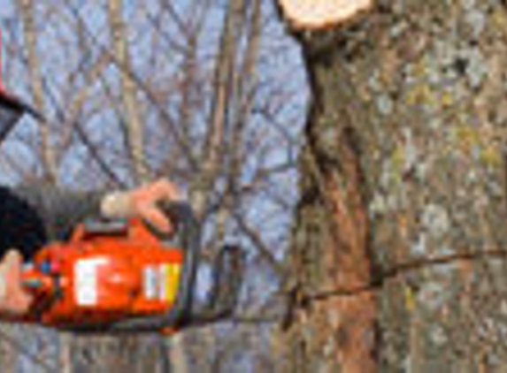 Lee's Tree Service - Poolesville, MD