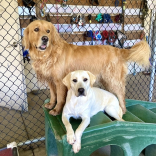 Paradise Pet Resort - Rohnert Park, CA