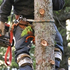 Cornerstone Tree Service