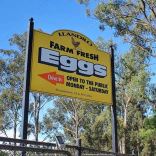Llandilo Farm Fresh Eggs - Llandilo, NSW