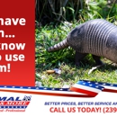Animal Removal & More - Animal Removal Services
