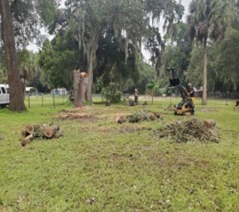 The Perfect Cut Tree Service LLC - Middleburg, FL
