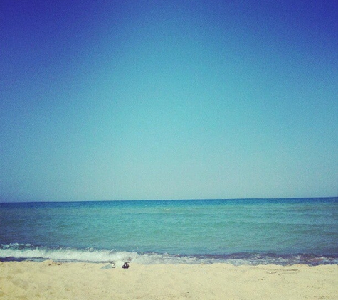 Warren Dunes State Park - Sawyer, MI