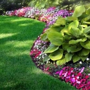 Thachs Landscaping - Landscape Designers & Consultants