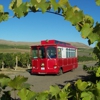 Fruit of the Vine Tours gallery